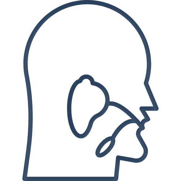 Salivary Gland Icon Navy